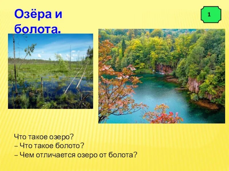 Чем озеро отличается от озера. Болото и озеро отличия. Чем отличается озеро от болота. Различия болота и озера. Пруд и болото отличие.