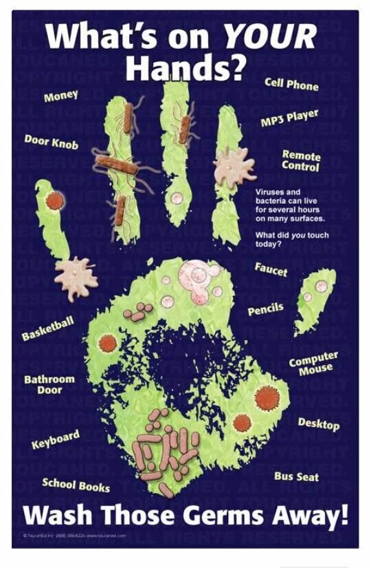 Germs Lesson. Germs 1999 игра. Germs Lesson Plan 6 Grade. Germ перевод.