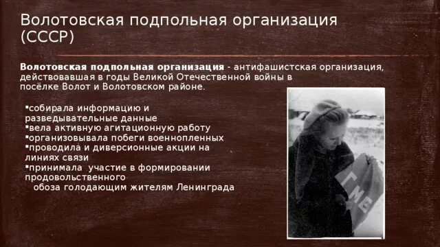 Подпольные организации СССР. Волотовская подпольная организация. Подпольная работа. Антифашистское подполье это. Антифашистские восстания