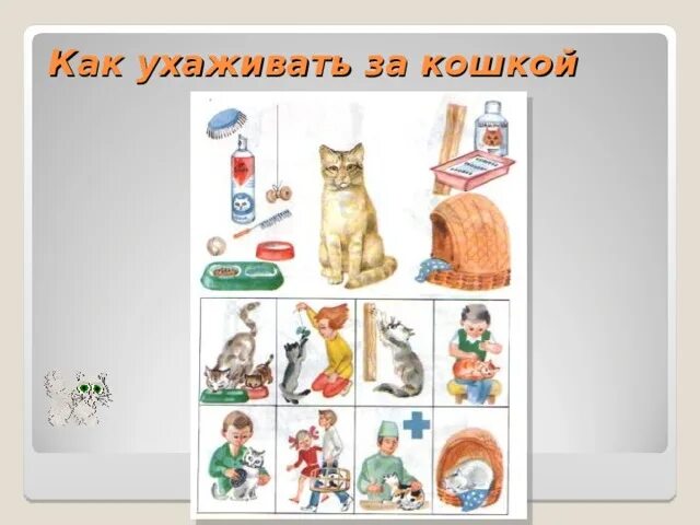 Как ухаживать за кошкой. Схема - уход за кошкой. Правила ухода за кошкой. Правила ухода за кошкой для детей. Как заботиться о кошке