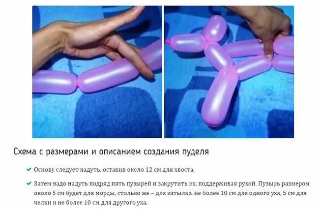 Пошагово. Как сделать собачку из длинного шарика пошаговая инструкция. Собака из шарика колбаски. Фигурки из воздушных шаров длинных. Как сделать собаку из шар ка.