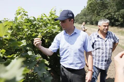 Агрофирма южная
