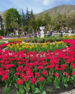 Погода в пятигорске на май 2024 года