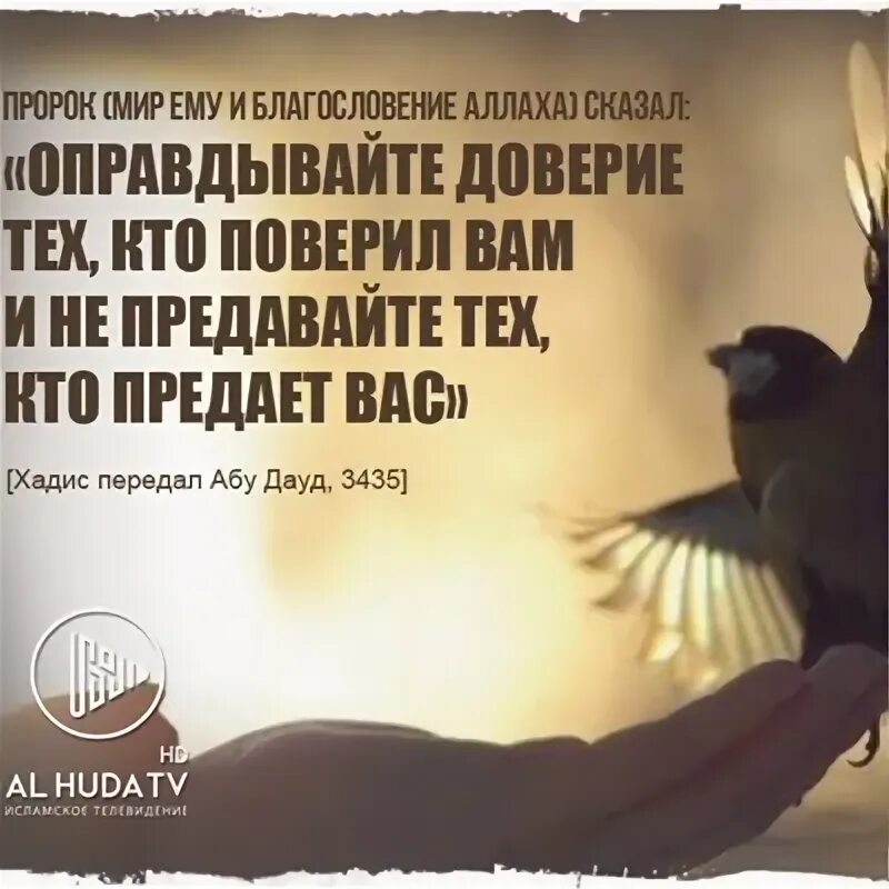 Оправданное доверие. Хадис про доверие. оправдывайте доверие тех. оправдывайте доверие тех кто поверил. доверие в исламе хадисы.