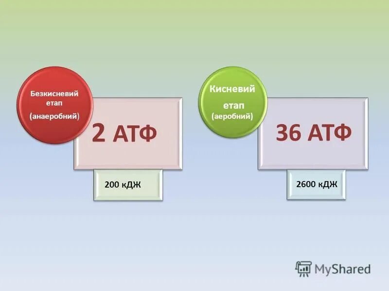 Атф кдж. Сколько КДЖ В АТФ. КДЖ В 1 АТФ. Сколько энергии в АТФ В КДЖ. Сколько килоджоулей в АТФ.