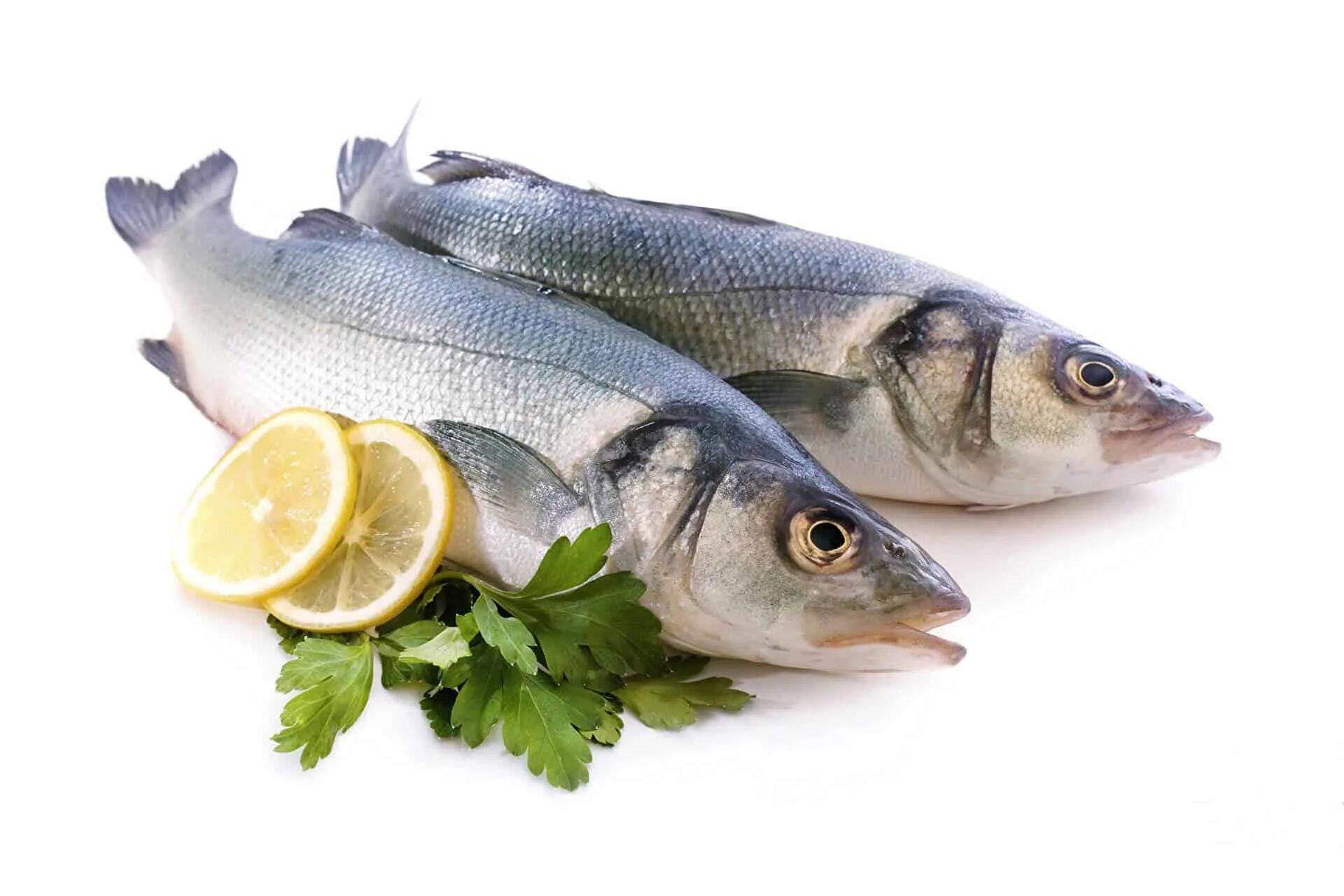 Мясо сельди