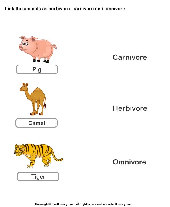 Carnivore перевод. Herbivore животные. Всеядные животные на англ. Carnivore Herbivore. Herbivore Carnivore Omnivore Worksheet.