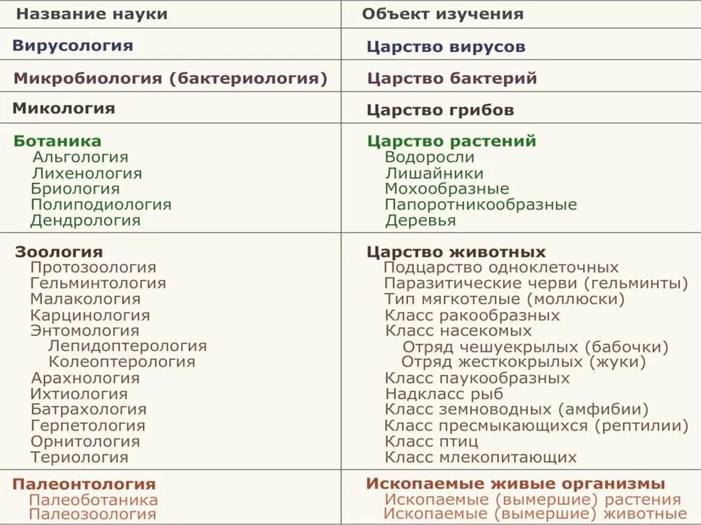 Области науки биологии 5 класс. Биологические науки 5 класс таблица. Науки биологии ЕГЭ таблица. Биологические науки список и что они изучают таблица. Биологические науки ЕГЭ биология таблица.