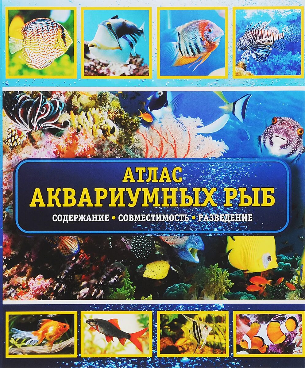 Аквариум содержание и разведение. Атлас определитель аквариумных рыб. большая иллюстрированная энциклопедия аквариумных рыб. книги про аквариумных рыбок. энциклопедия аквариумные рыбки.