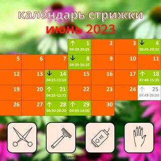 Стрижка дни в августе 2023
