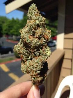 Queen cookies