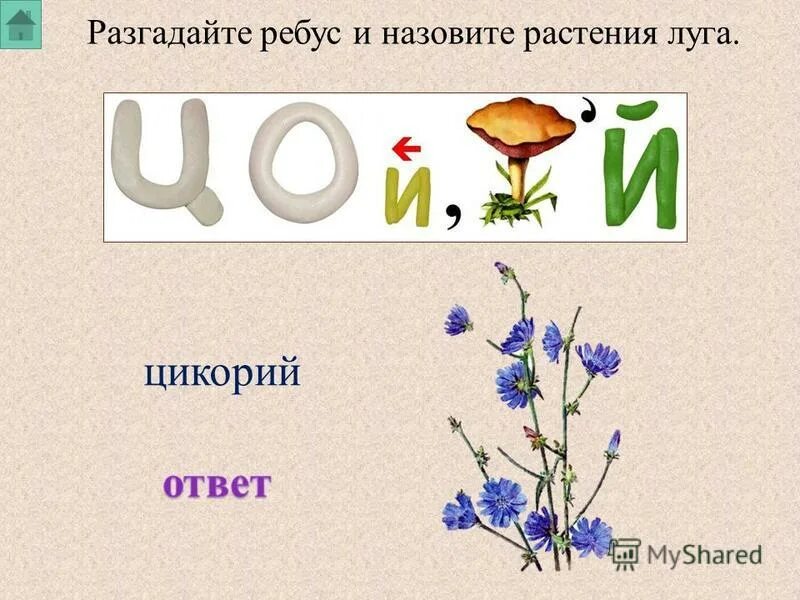 Разгадайте ребусы в которых спрятались имена. Разгадайте ребусы в которых спрятались имена. Разгадай ребусы. Рабочая тетрадь по русскому языку 2 класс 2 часть стр 28 упр 60. Гдз по рабочей тетради по русскому языку 2 класс 2.