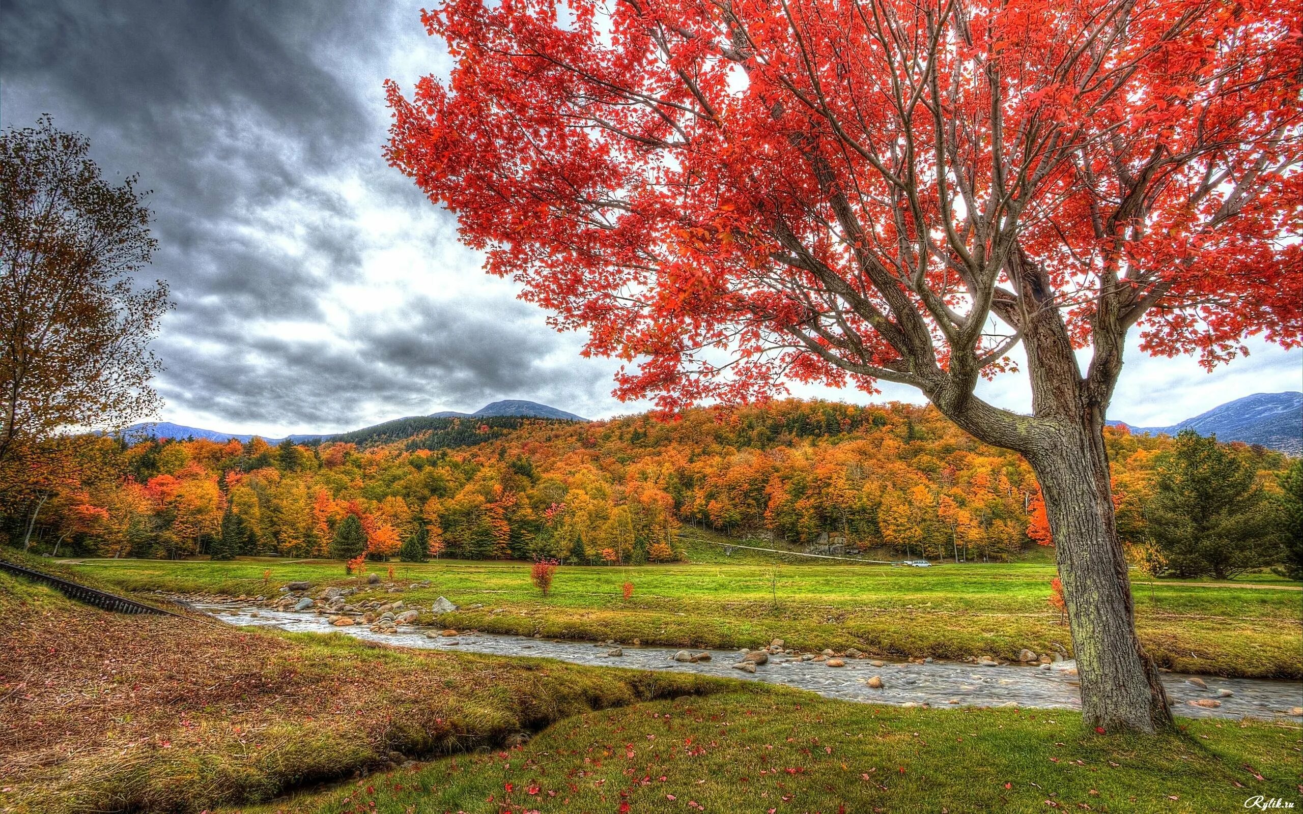 Картинки осень природа. Природа осень. Красивая осень. Осеннее дерево. Красивое дерево.