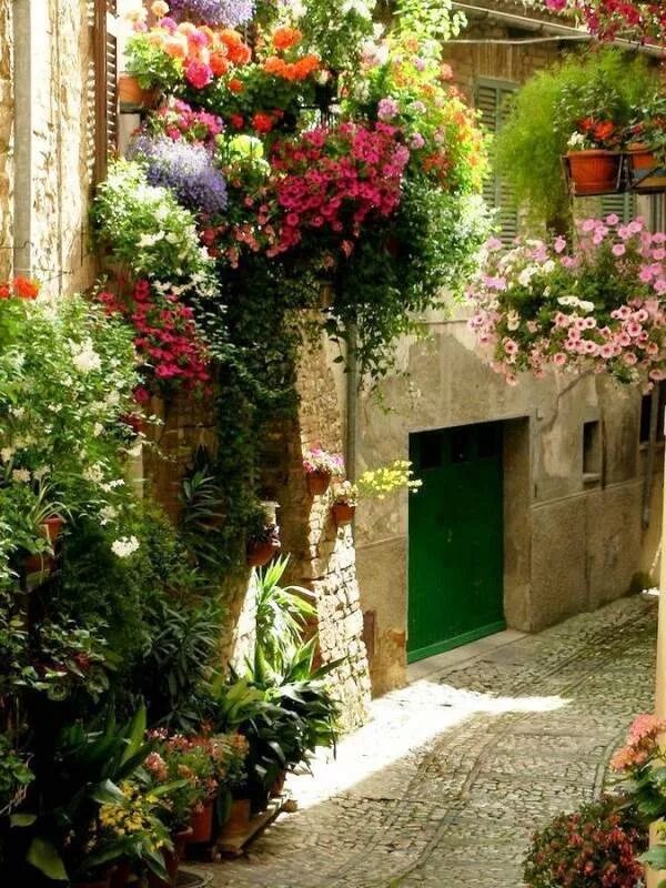 Цветочная улица 6 санкт-петербург. Цветочная д. , д. 18, литер в. 18,.