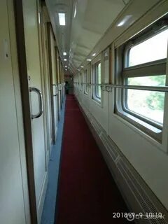 Фото поезда пальмира