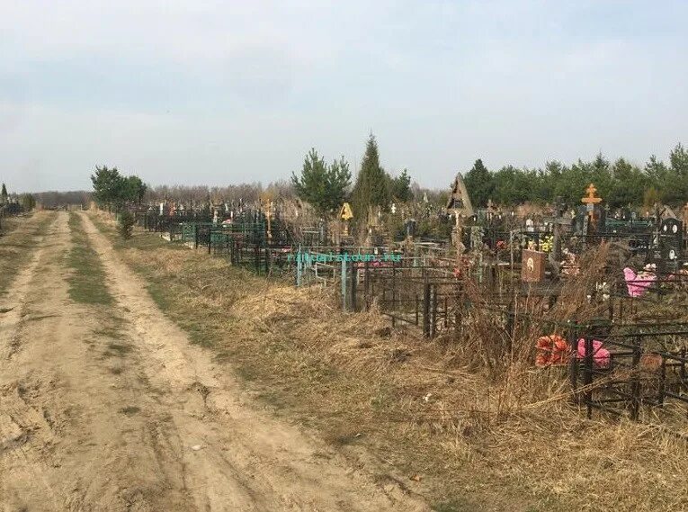 Кладбище в кашире. Кладбище в кашире. Склеп в часовне. Старое кладбище коломна. Заводоуковск старое кладбище.