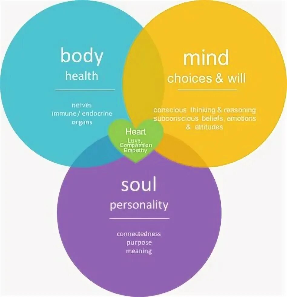 Душевный логотип. Body mind souls. Body mind souls. Body mind souls. Body mind souls.