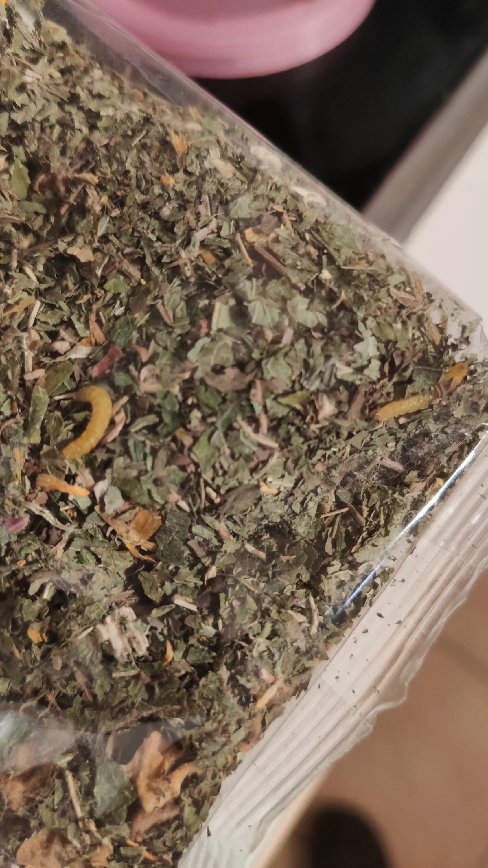 Червяки в чае. Черные червяки в унитазе. Чай тесс с червяками. Червяки в чайных пакетиках. Червяки в чае.