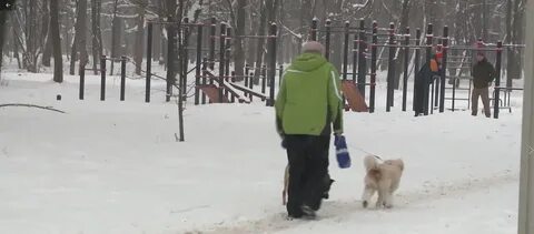 Запретили гулять