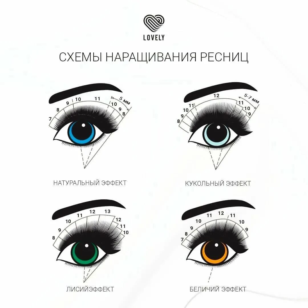 Мокрое наращивание ресниц схема. Натуральный эффект наращивания ресниц схема 2д. схема наращивания ресниц натуральный эффект 12 длина. кукольный эффект 2д изгиб с схема. схема кукольно лисьего эффекта наращивания ресниц изгиб д 2д схема.