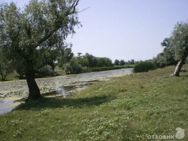 Крынки Херсонская область. Село Крынки Херсонская область. Трифоновка Херсонская область. Село Каирка Херсонская область. Крынки херсонская область бои