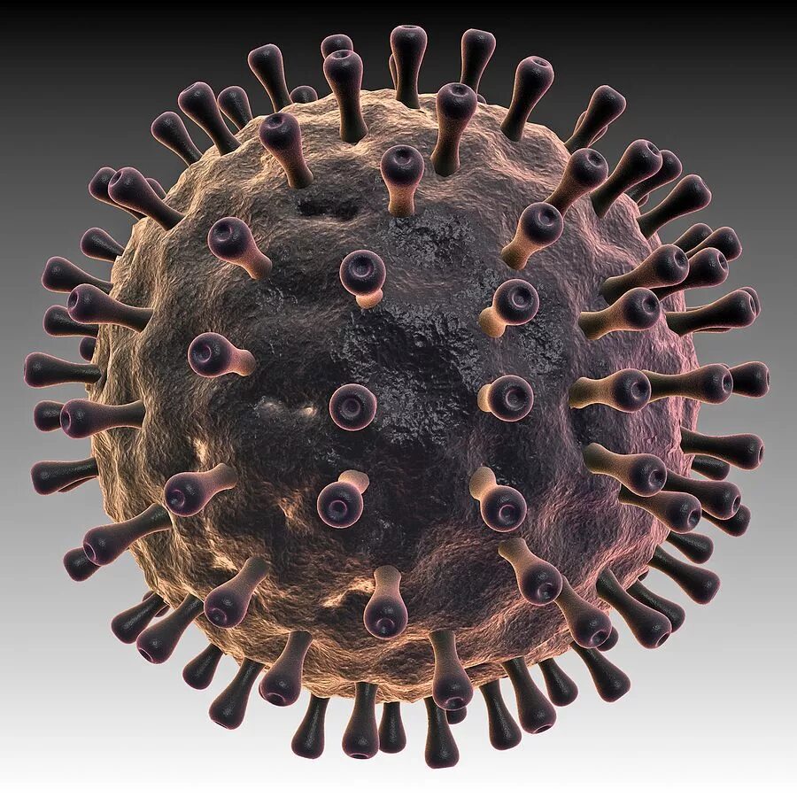 Epstein barr virus ebna. Герпесвирус вирус Эпштейна-Барр. Вирус Эпштейн Барр вирус герпеса.