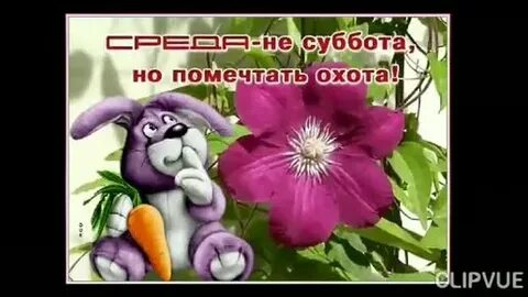 Видео среда