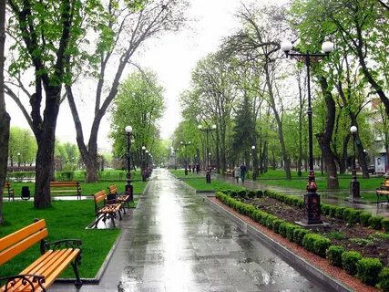 Парк сквер улица бульвар