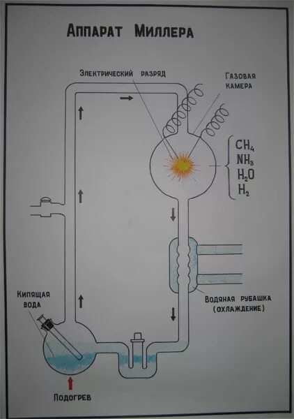 Аппарат миллера. Эксперимент Стэнли Миллера. Схема опыта Миллера. Эксперимент Опарина Миллера. Схема Миллера биология.