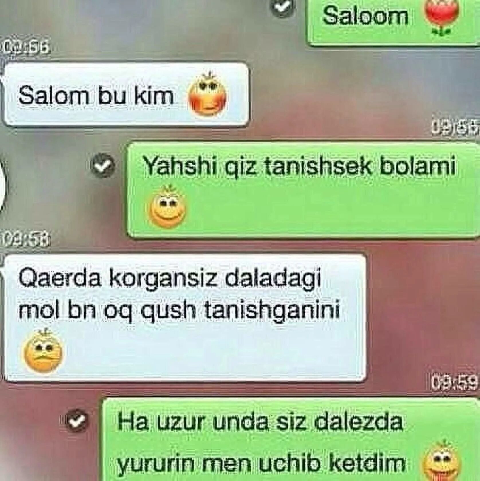 Суратлар. Хазил шерлар. Узбекча чат. Севишганлар богдан. Номера женщин в ватсапе.