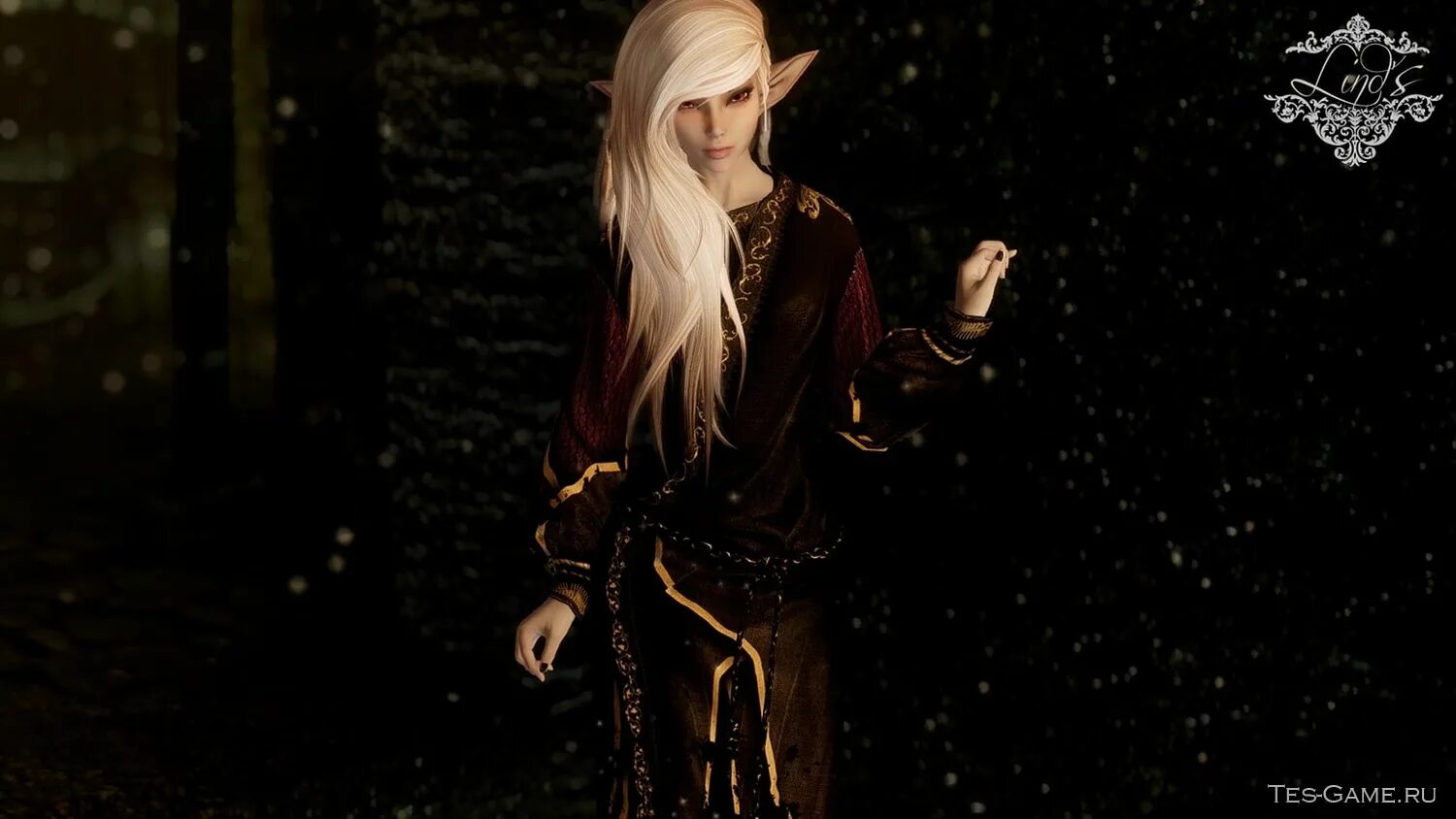 Мод на некроманта. Мод на некроманта. Skyrim мантия некромантки. Мантия некроманта скайрим. Скайрим бретонец некромант.