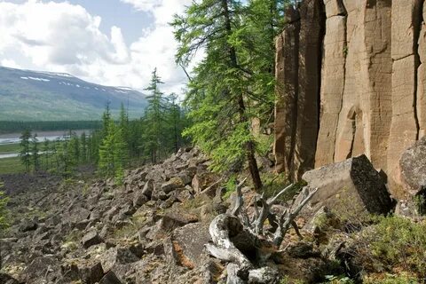 Кузнецовском плато