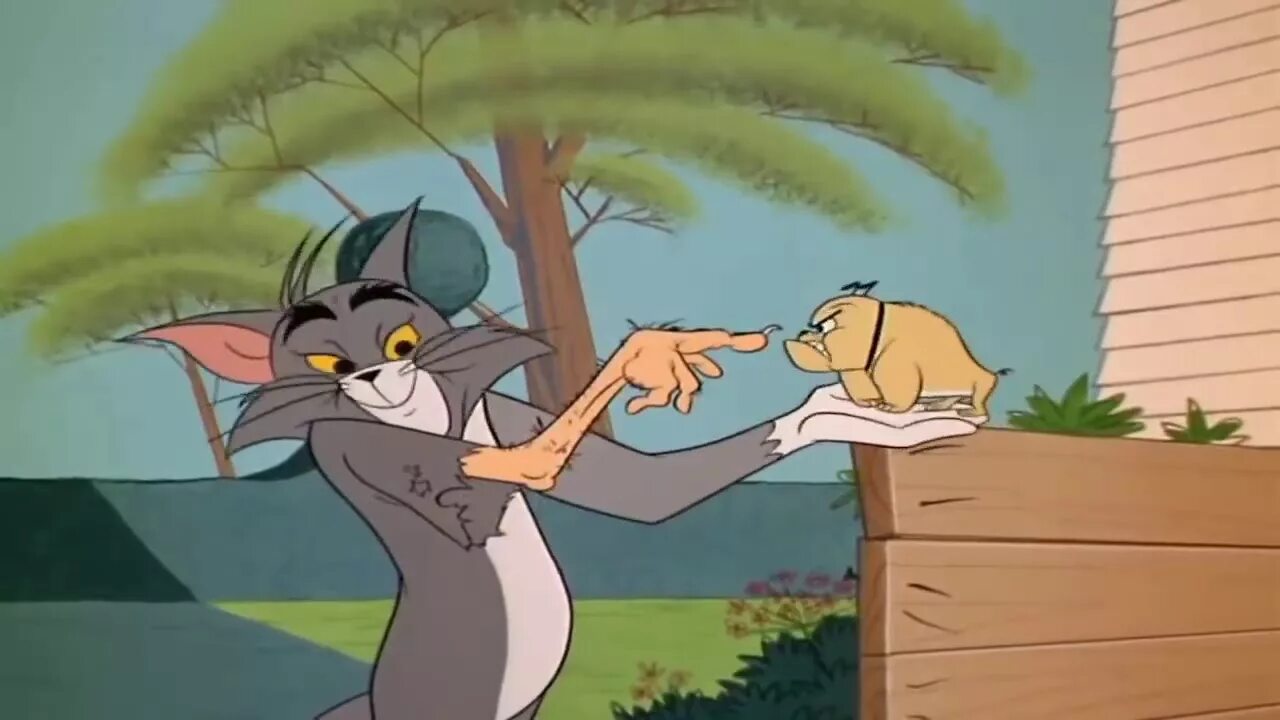 Сели том. Tom and Jerry 1963. Том и Джерри 1963-1967 том. Том из том и Джерри 1963. Том и Джерри Чак Джонс 1963-1967.