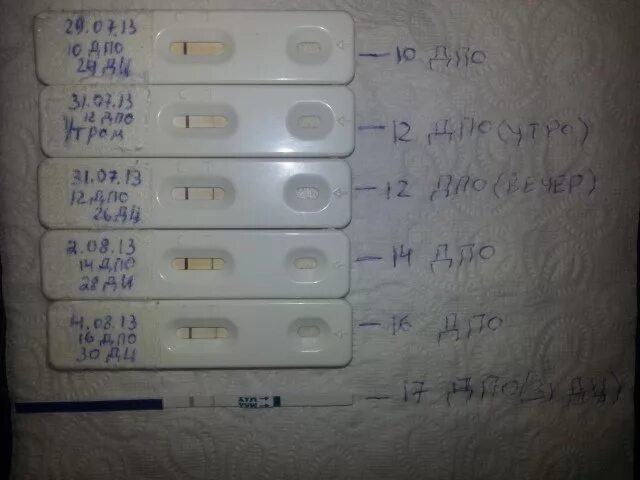 Тест на беременность 17 ДПО. 17 День после овуляции тест отрицательный. Тест на 17 день после овуляции. 17 ДПО тест отрицательный. Заболела после овуляции