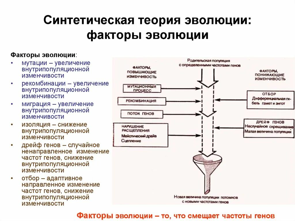 Основы современного эволюционного учения были сформулированы