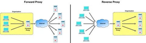Docker ssl