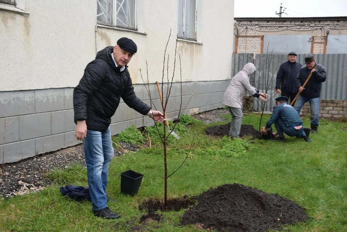 В ряд посадили 12 деревьев