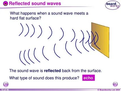 Could sound