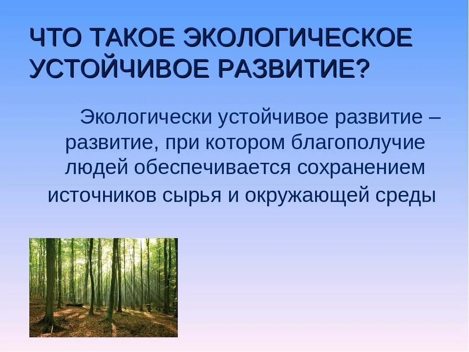 Условия формирования окружающей среды