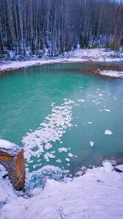 Александровск березники