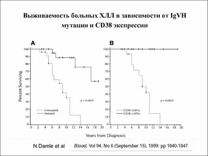 Стадия выживаемость