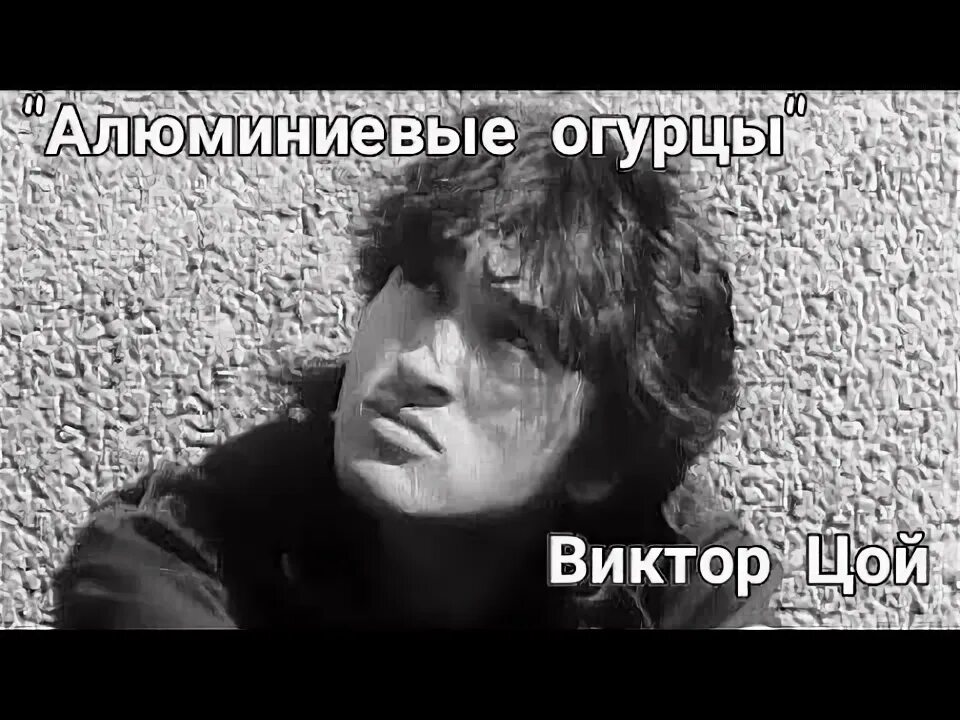 Песня алюминиевые огурцы слушать. Цой я сажаю алюминиевые огурцы. Цой кавер. Песня алюминиевые огурцы слушать. Песня алюминиевые огурцы слушать.