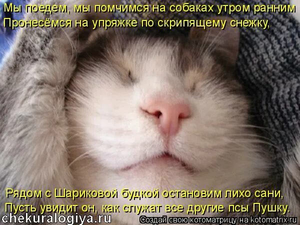 Песня мы поедем утром ранним. Мы поедем мы помчимся. мы поедем мы помчимся на оленях утром ранним. мы помчимся утром ранним. мы помчались.
