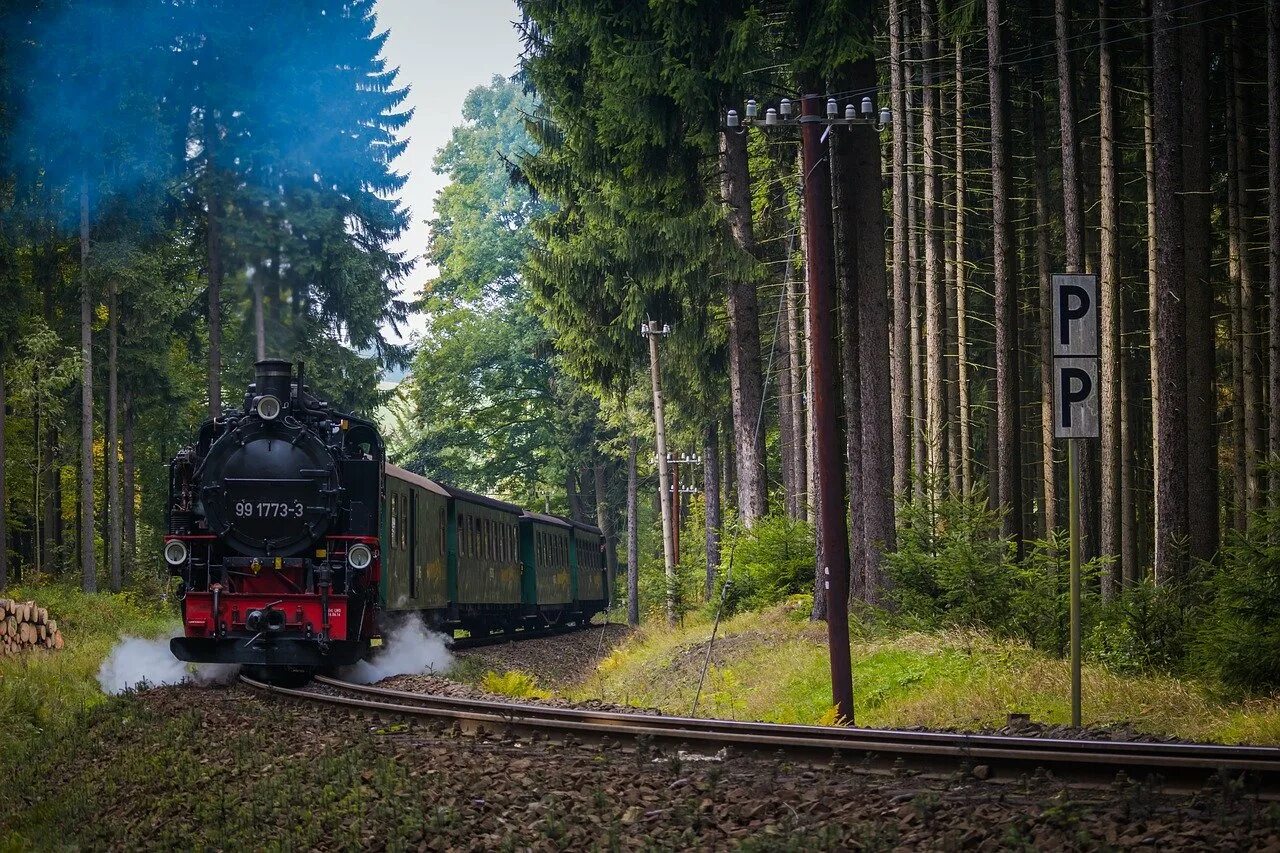 Локомотивная железная дорога. Узкоколейная железная дорога в Германии. Электровоз паровоз тепловоз. Поезд в лесу. Тепловоз в лесу.