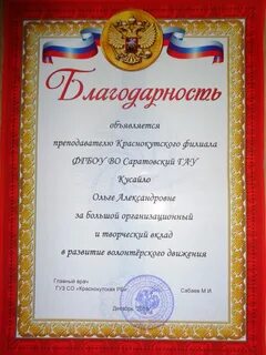 Активное участие в волонтерской деятельности