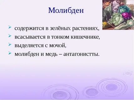 Роль молибдена в организме человека