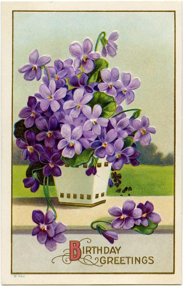 С днём рождения женщине открытки с фиалками. Открытки с фиалками. С днем рождения фиалки. Фиалка кринолин. Винтажная открытка с днем рождения.