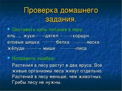 Какие пищевые цепи в лесу