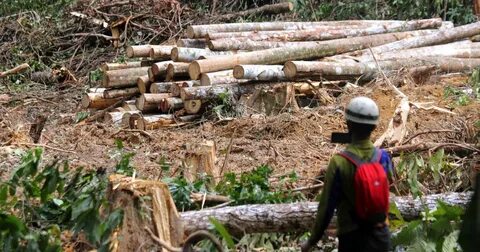 Logging warning