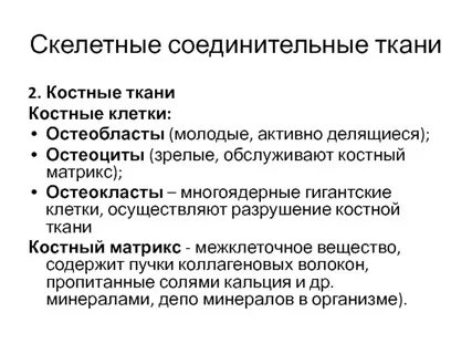 Виды скелетной соединительной ткани